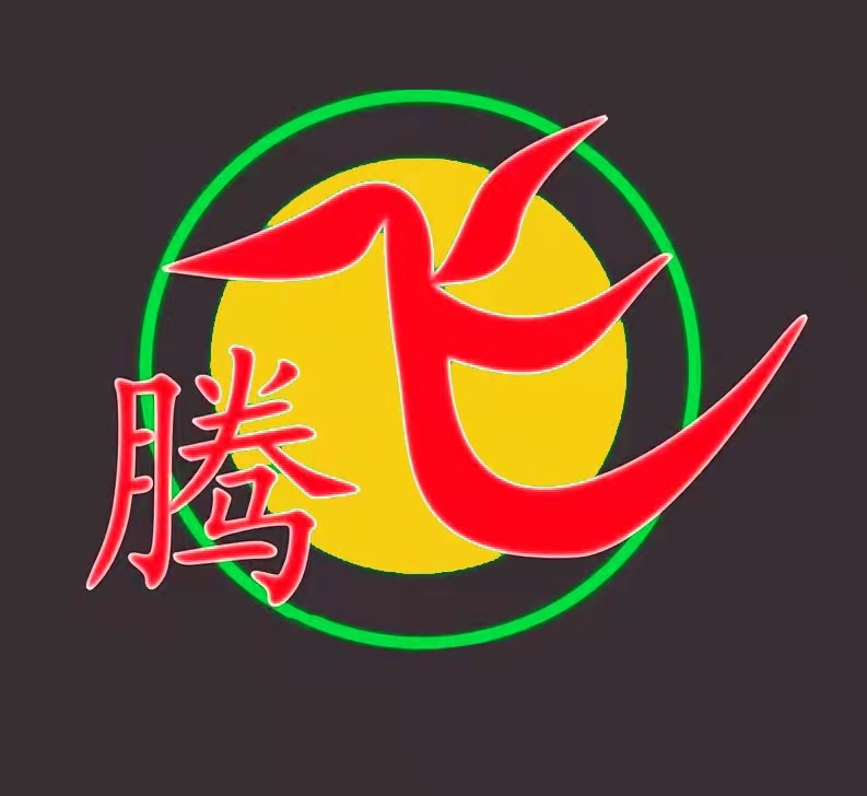 北镇市腾飞艺术培训有限公司