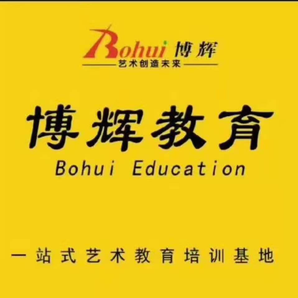 嘉峪关市博辉之星艺