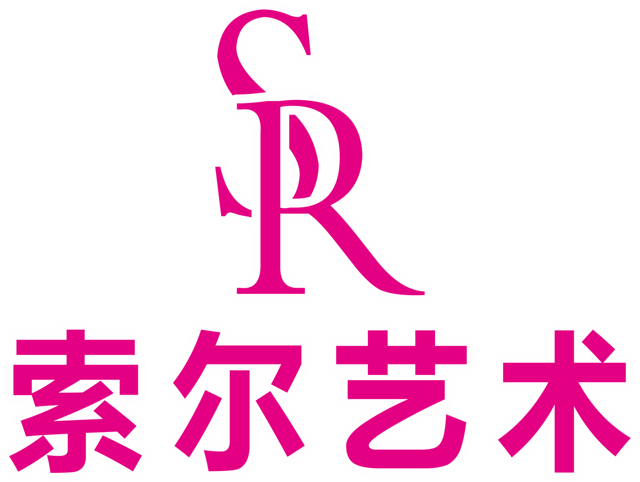 武冈市索尔培训学校