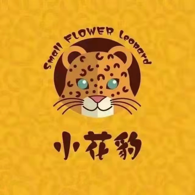 澜沧小花豹艺术培训