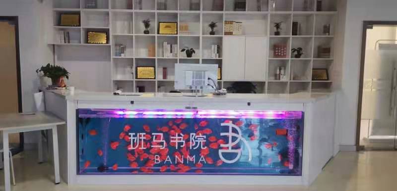 石家庄市裕华区小马