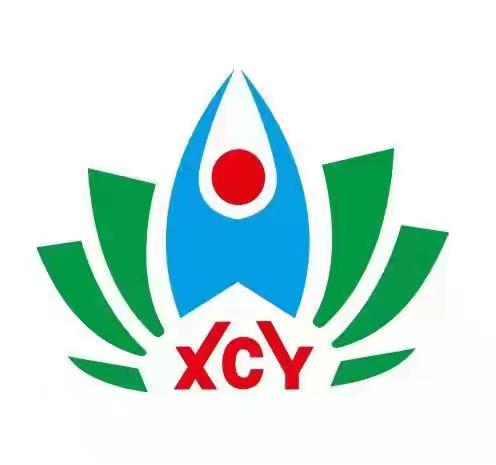 新化县新超越艺术培