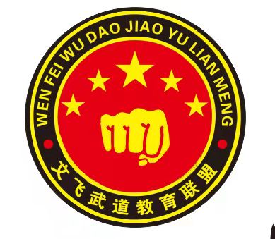 涟源市新文飞武道培训学校有限公司