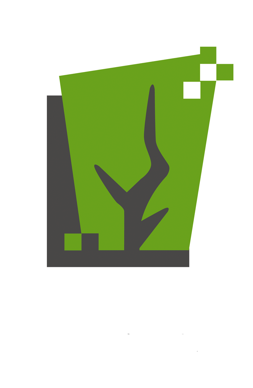 北票大卫艺术学校有