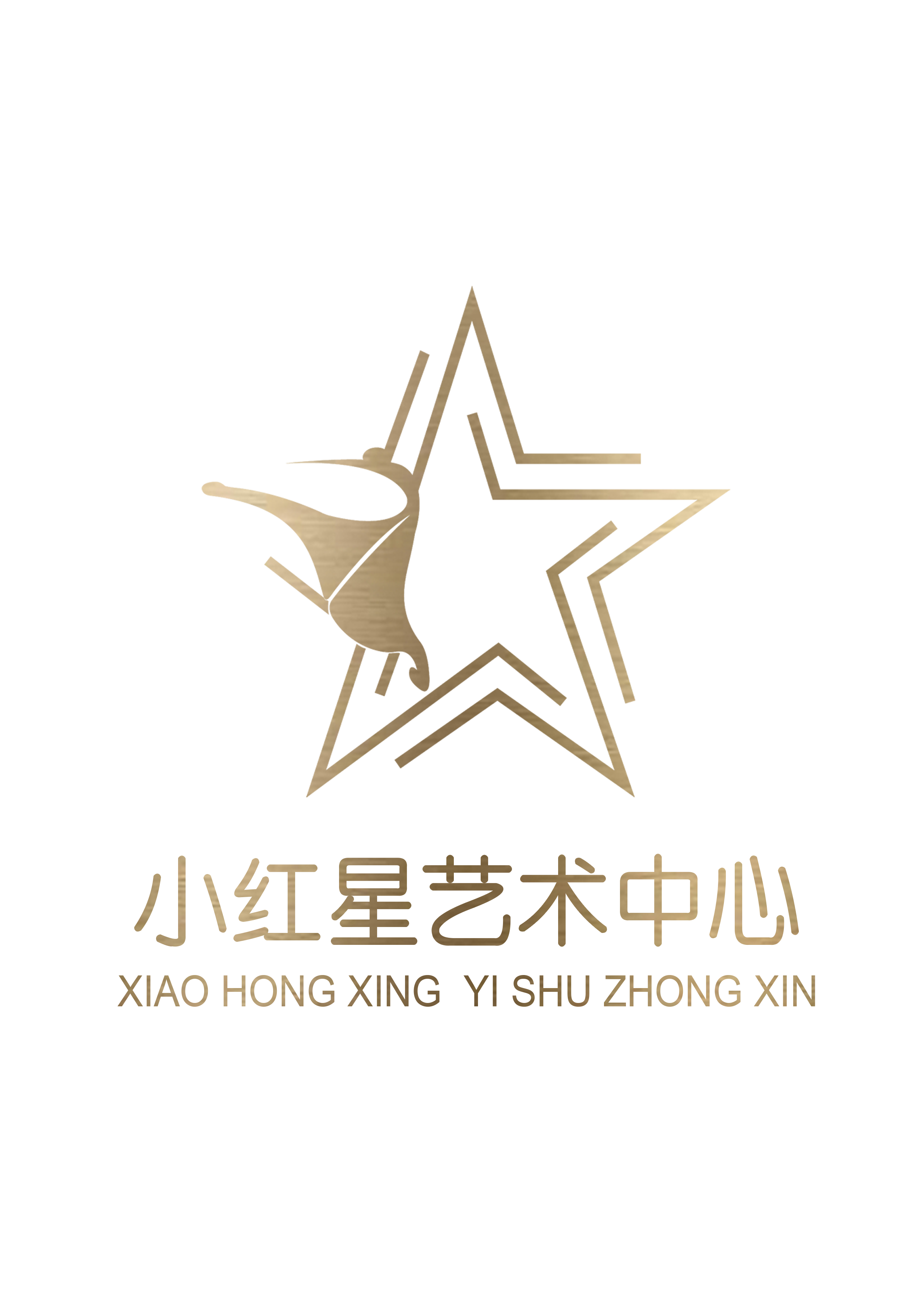 遵义市汇川区星拉星艺术培训中心有限公司