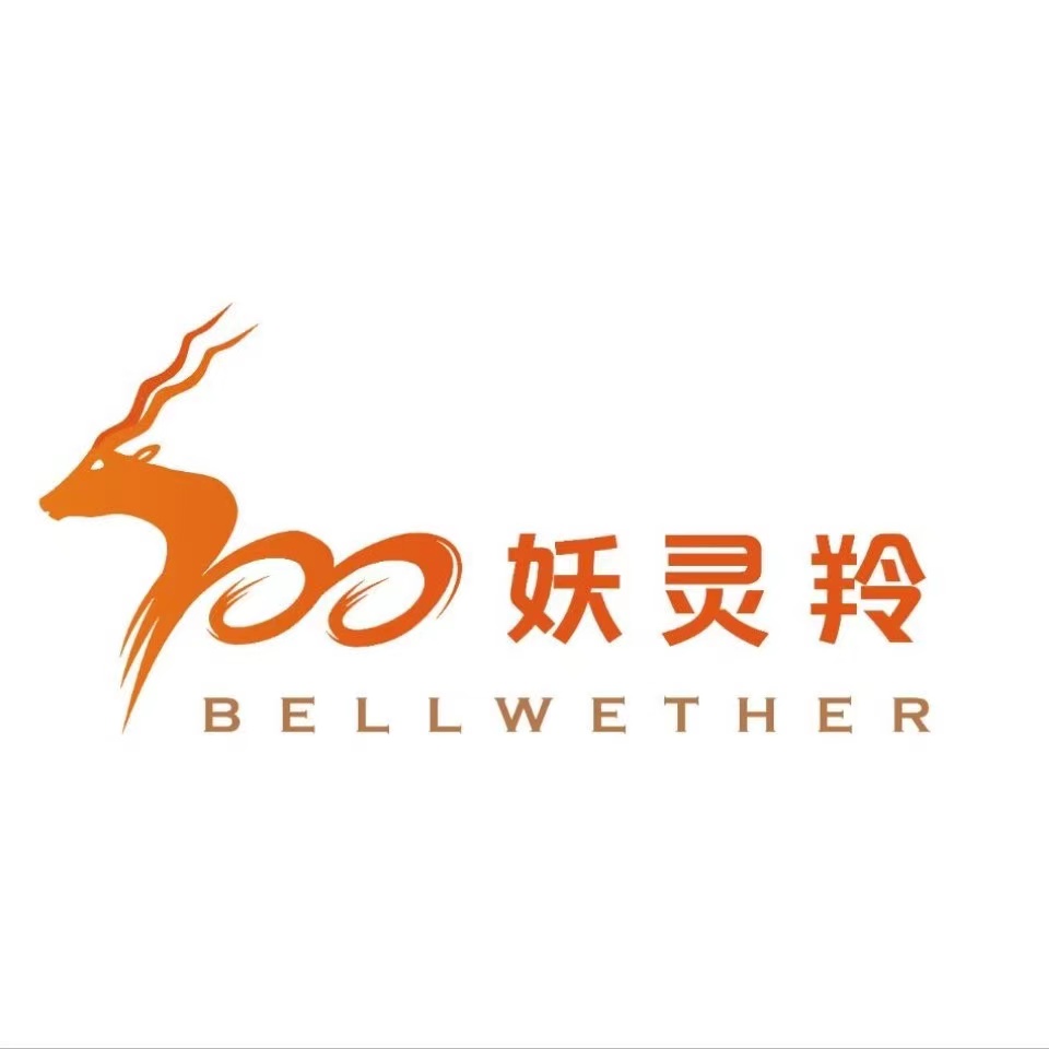 西安妖灵羚艺术培训学校有限公司