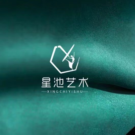 凤凰县星池艺术培训