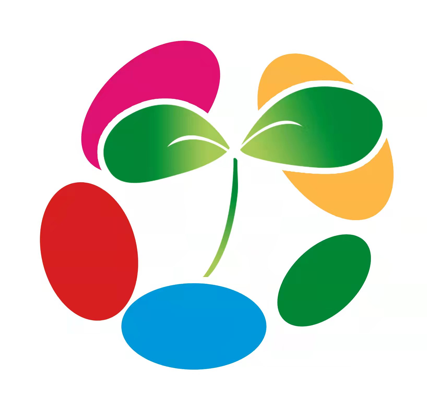 武城县李睿教育培训学校有限公司