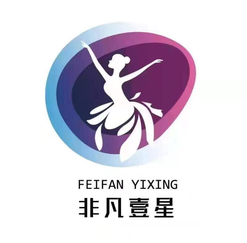 景德镇市非凡壹星艺术培训有限公司