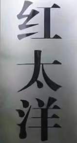 岳阳市岳阳楼区红太洋培训学校有限公司
