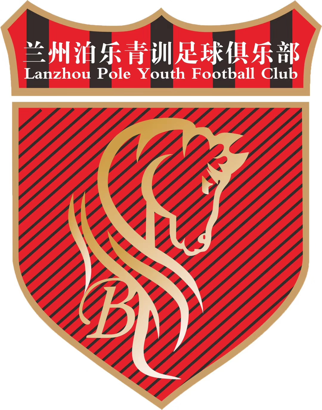 合作市泊乐体育培训