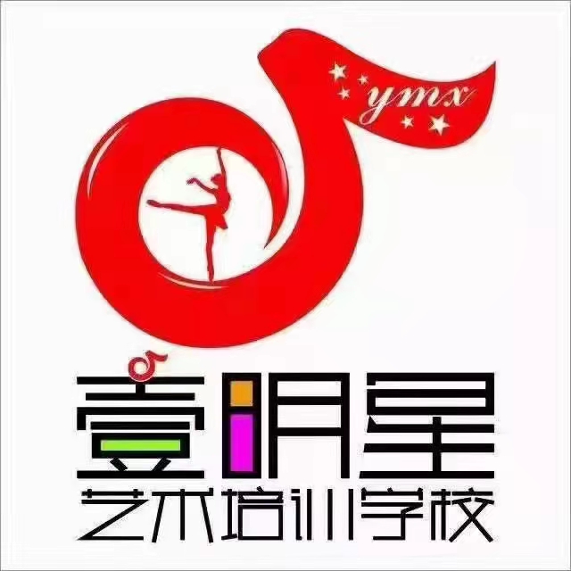 新化县壹明星艺术培