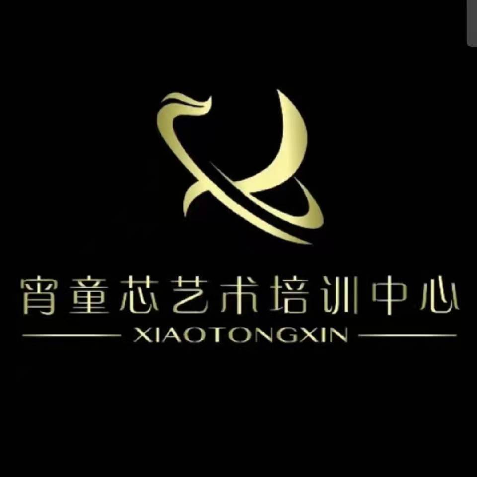 固原市宵童芯艺术培训中心有限公司