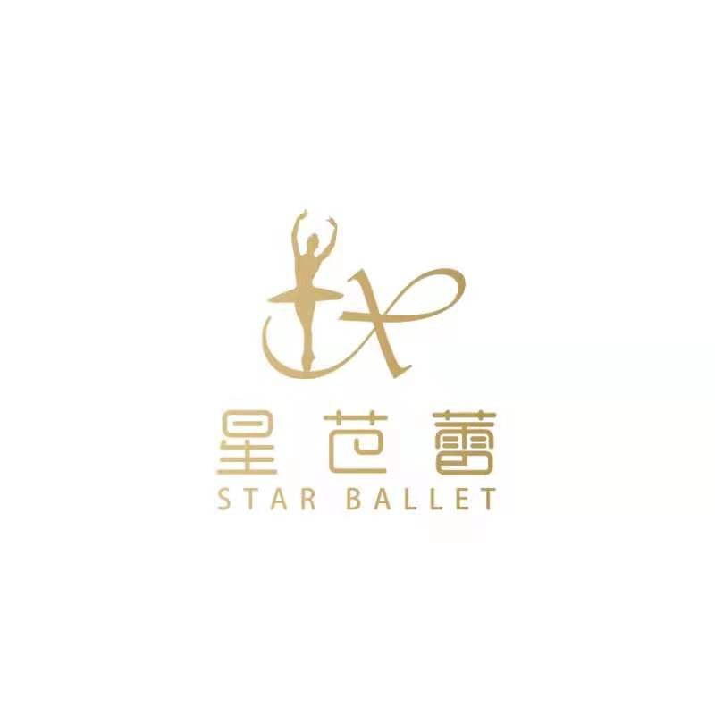 吉林市船营区星芭蕾艺术培训学校有限公司