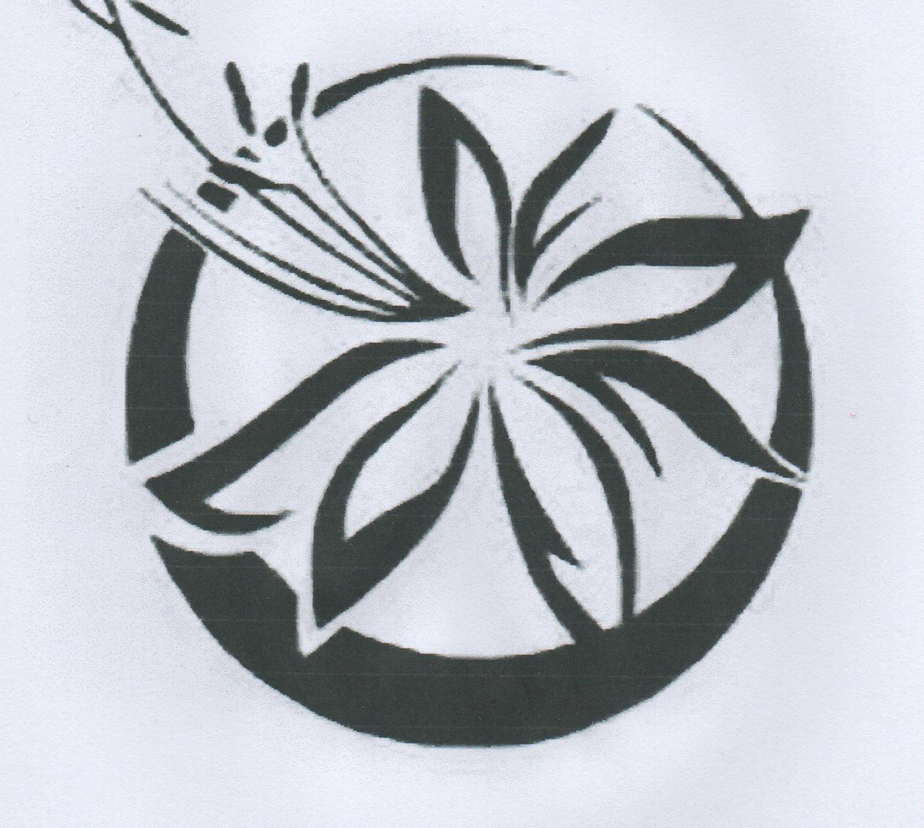 凉城七色华舞蹈艺术