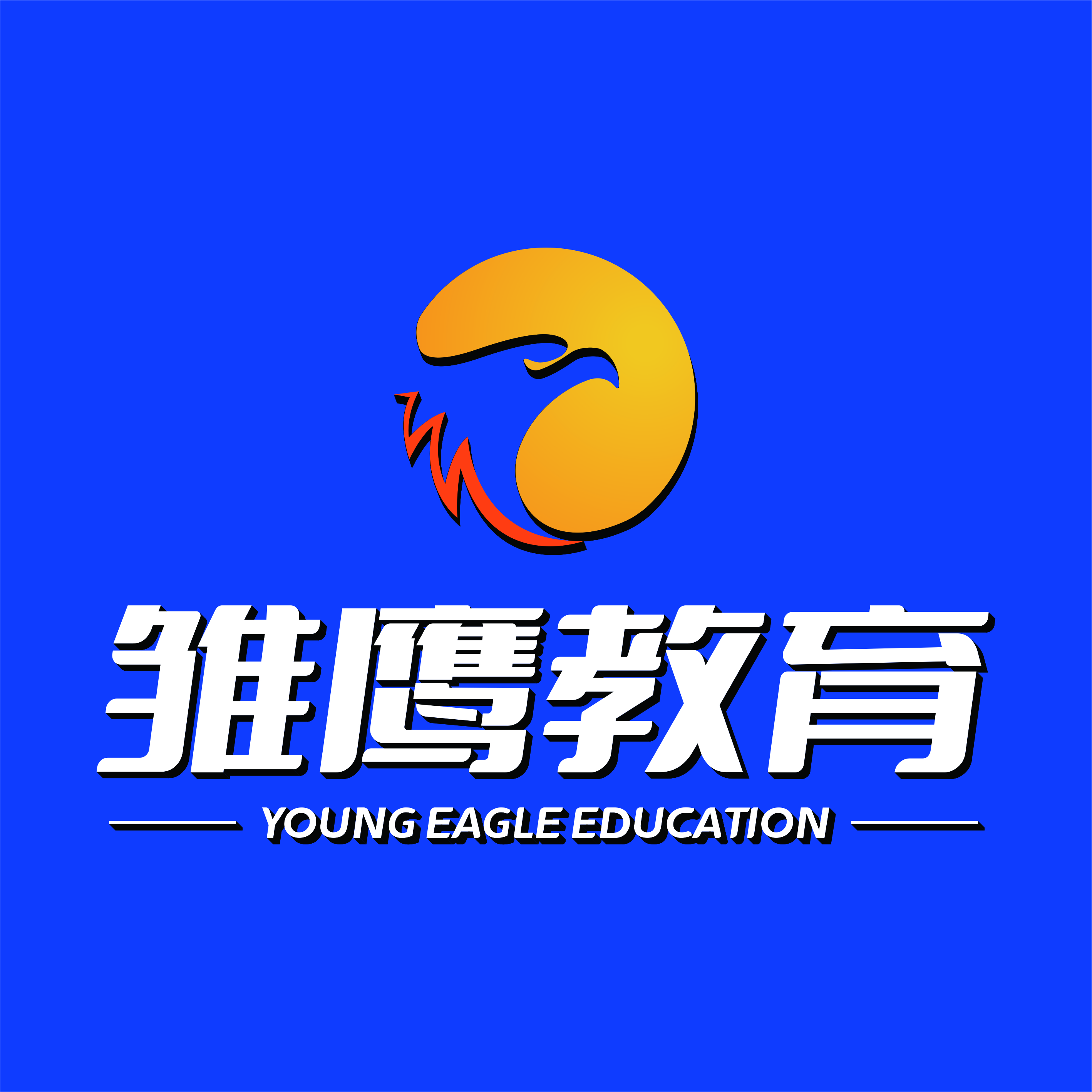 安岳县雏鹰文化艺术培训学校有限公司