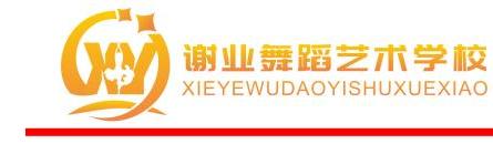 益阳市谢业舞蹈培训学校佳宁娜有限公司