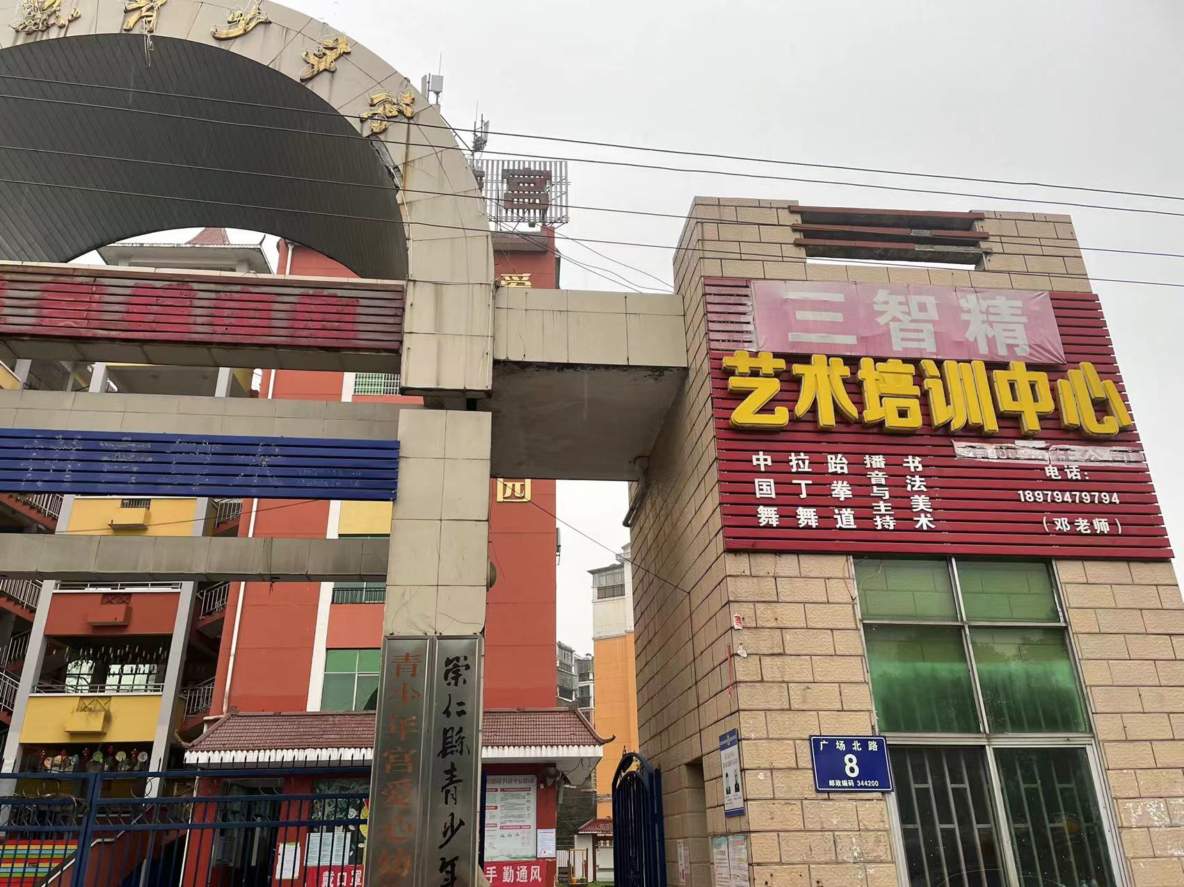 崇仁县三智精艺术培训中心有限责任公司