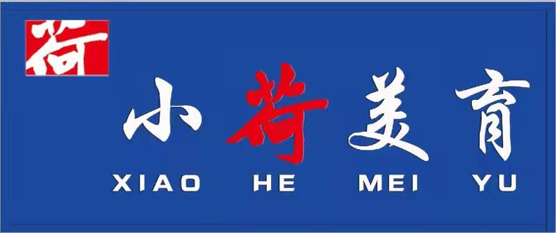 德州市陵城区小荷美育培训学校有限公司