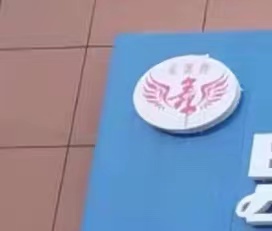 陕西星飞翼艺术培训