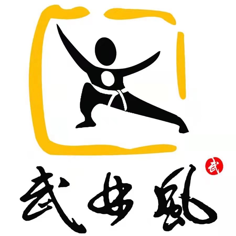 芜湖市武林风体育发