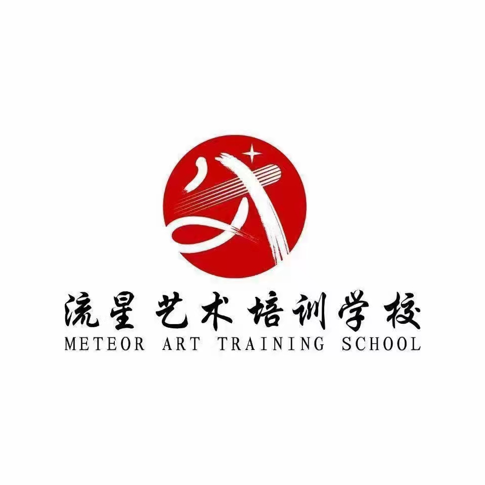 湘潭县流星武术培训学校有限公司