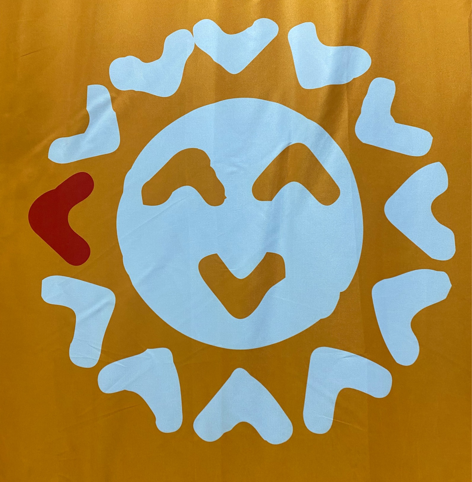 定州纽思达培训学校有限公司