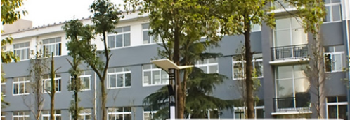 绵竹市齐天镇学校