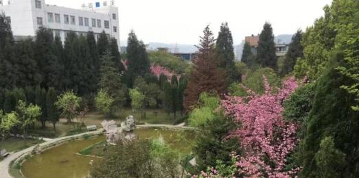 毕节第四实验高级中