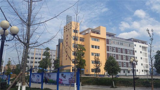 四川省苍溪实验中学