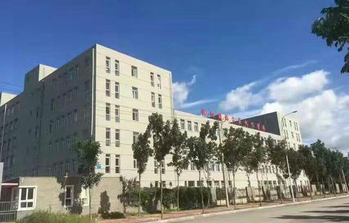 沈阳市国际公关礼仪
