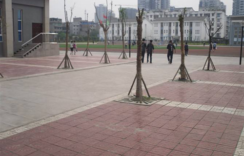 绵阳市实验高级中学