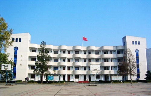 武汉市新洲区高级职