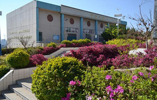 铁岭市文化艺术学校