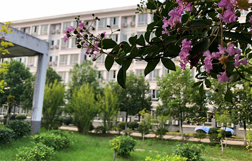 肥城市第二职业高级