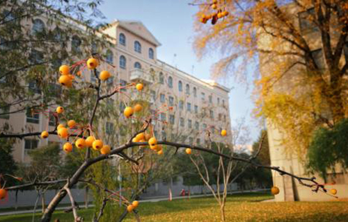 辽宁航空学校