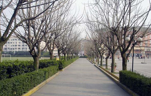 赤水市文华实验学校