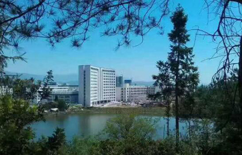 泰兴市向阳美术学校