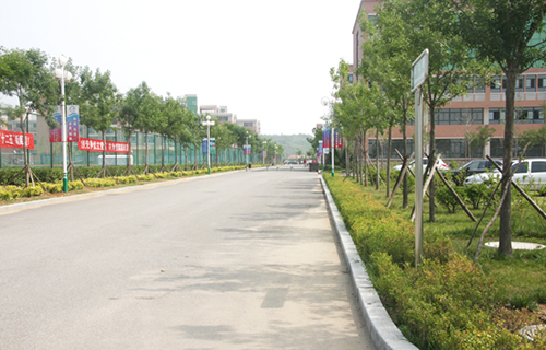 东营利津县职业中等