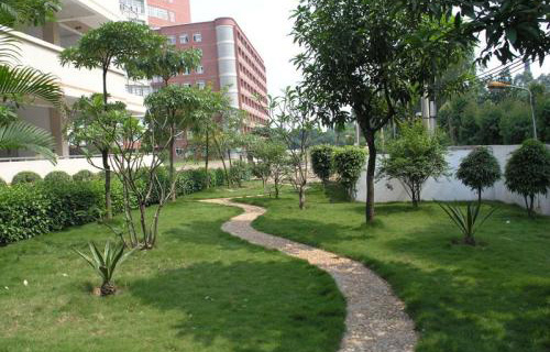 潍坊医药职业中等专