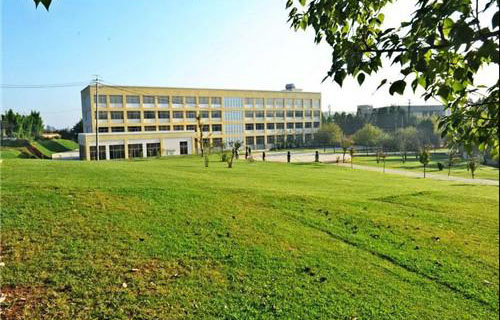 山东护理学校