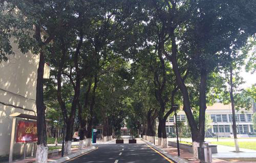 南京建筑学校