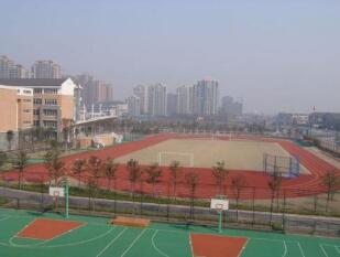 绵阳市游仙区新桥镇