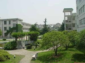 永川市宝峰镇登东山