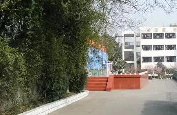 温江县镇子实验学校