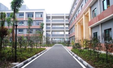 重庆市八十八中学
