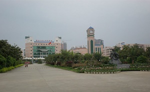 衡阳市船山英文学校