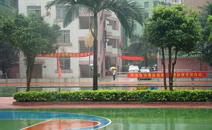 广州市白云区新市中