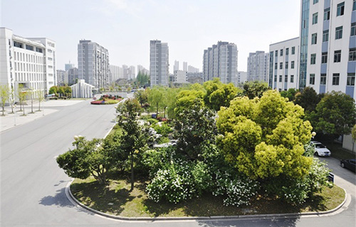 兴义市郑屯镇中学