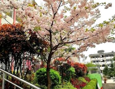 崇州市公议乡中学